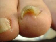 �����܋������X�B