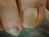 ��Ë@�֒�g�c���畆�ȓ��r���Q�K�ł��B