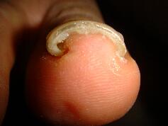 �����ܖ��É����m���܂�D�����������܂��B