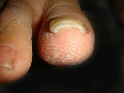 �����ܖ��É����m���܂�D�����������܂��B