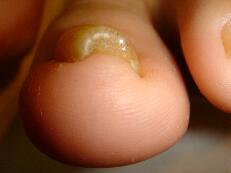 �����ܖ��É����m���܂�D�����������܂��B