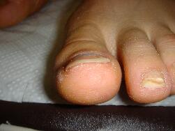 �����ܖ��É����m���܂�D�����������܂��B