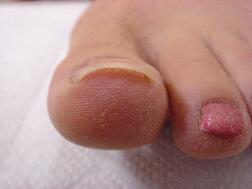 �����ܖ��É����m���܂�D�����������܂��B