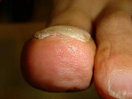 �����ܖ��É����m���܂�D�����������܂��B