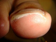 �����ܖ��É����m���܂�D�����������܂��B