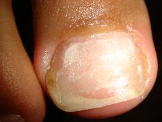 �����ܖ��É����m���܂�D�����������܂��B