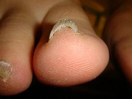 �����ܖ��É����m