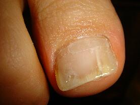 �����ܖ��É����m