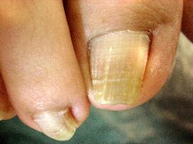 �����܋���