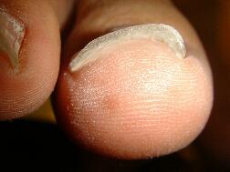 �����܋���