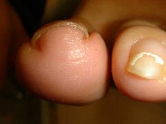 �����܋������É����m