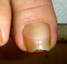 �����܋������É����m