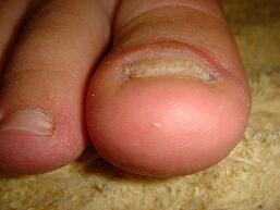 �܋@�\���P