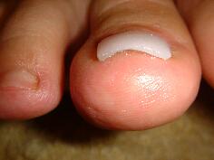 �܋@�\���P