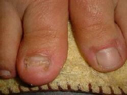 �܋@�\���P