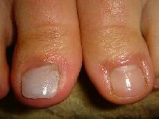 �܋@�\���P