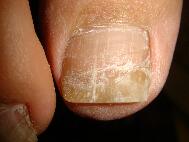 �����܋����͗D���������ł��B���C�y�ɂ����k���������B