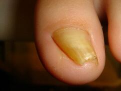 �����ܖ��É����m���܂�D�����������܂��B