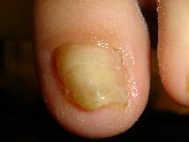 �����ܖ��É����m���܂�D�����������܂��B