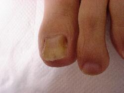 �����ܖ��É����m���܂�D�����������܂��B