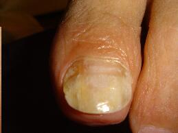 �����ܖ��É����m���܂�D�����������܂��B