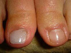 �܂�l�H�I�ɍ��܂��B