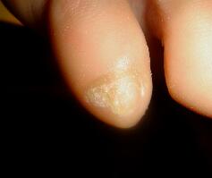 �����ܖ��É����m