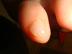 �����ܖ��É����m