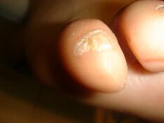 �����ܖ��É����m